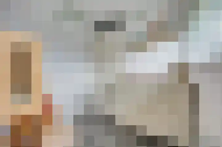 Digna Johannaweg 17 Hoogvliet Rotterdam thumbnail 20