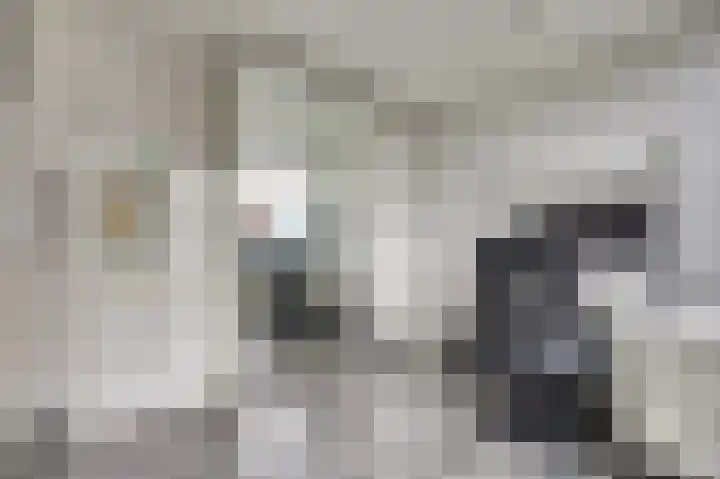 Digna Johannaweg 17 Hoogvliet Rotterdam thumbnail 24