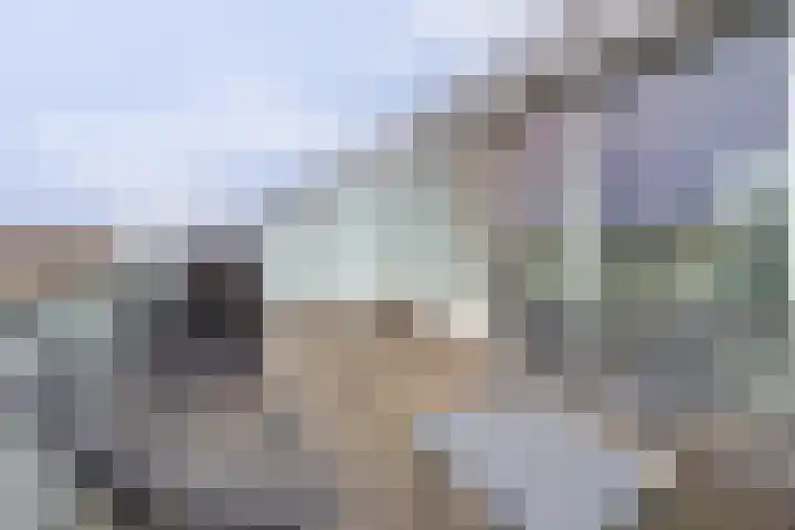 Digna Johannaweg 17 Hoogvliet Rotterdam thumbnail 26