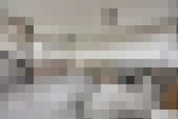 Digna Johannaweg 17 Hoogvliet Rotterdam thumbnail 5