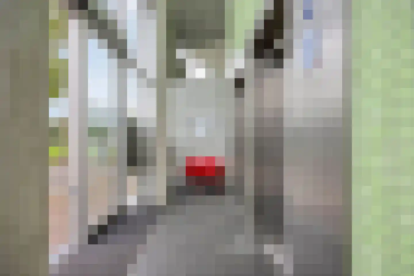 Digna Johannaweg 179 Hoogvliet Rotterdam thumbnail 10