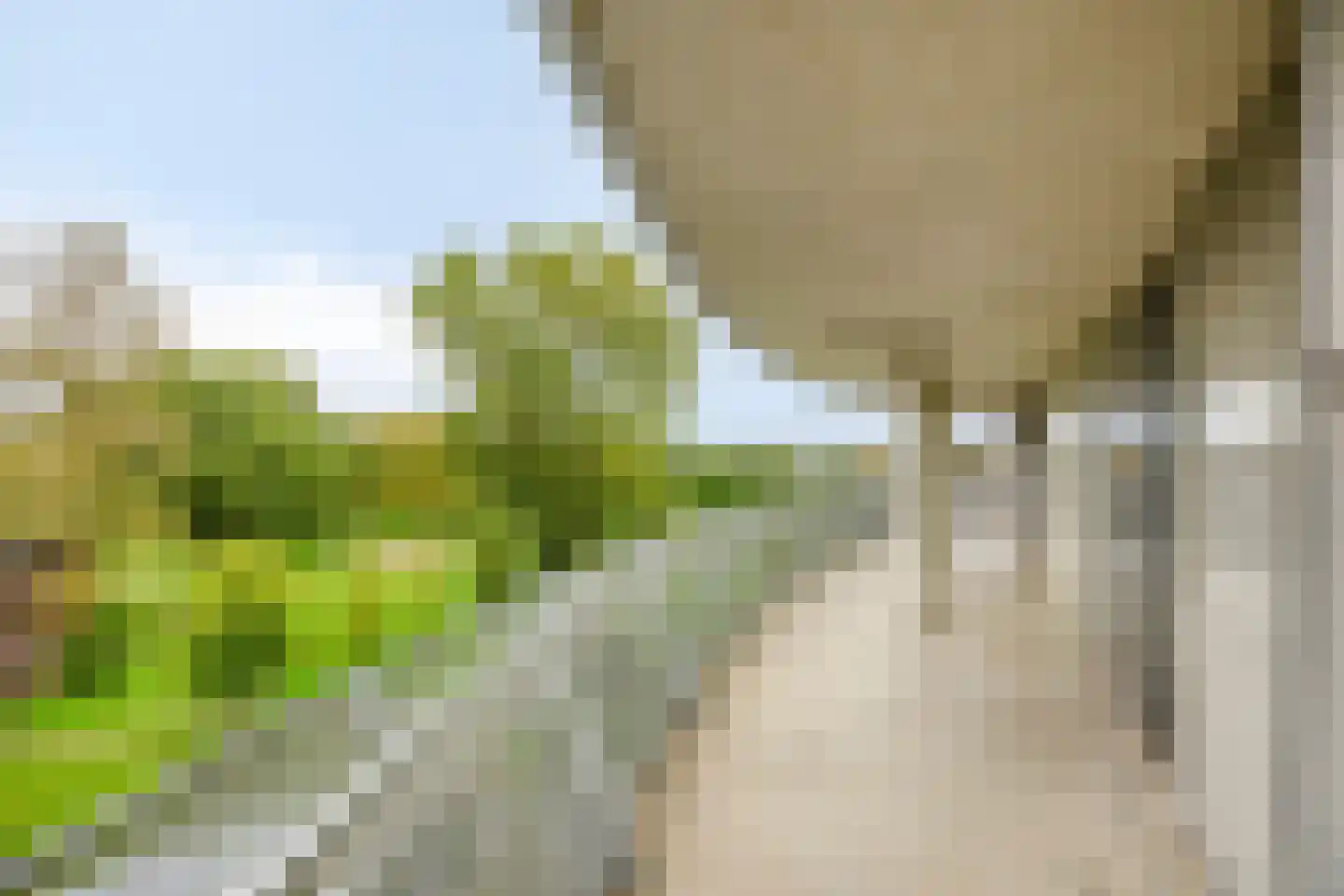 Digna Johannaweg 179 Hoogvliet Rotterdam thumbnail 16