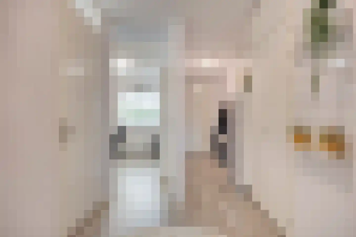 Digna Johannaweg 179 Hoogvliet Rotterdam thumbnail 19