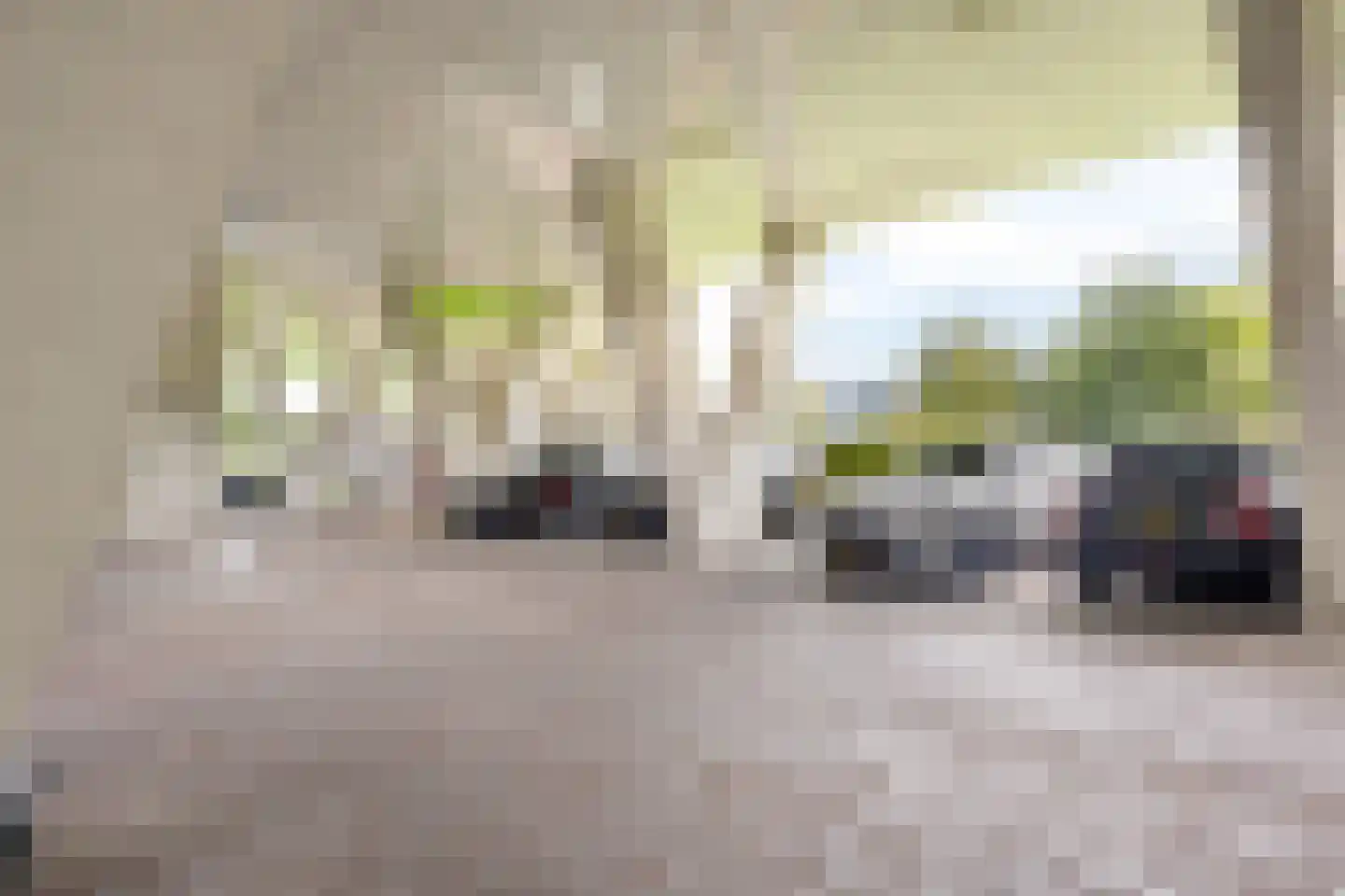 Digna Johannaweg 179 Hoogvliet Rotterdam thumbnail 40