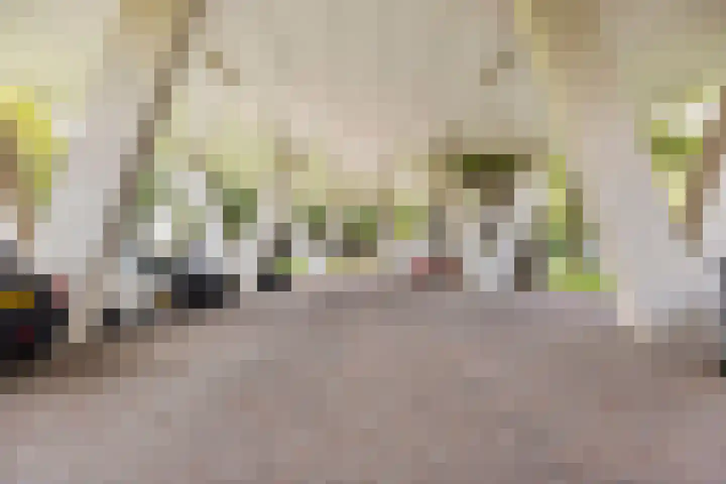 Digna Johannaweg 179 Hoogvliet Rotterdam thumbnail 41