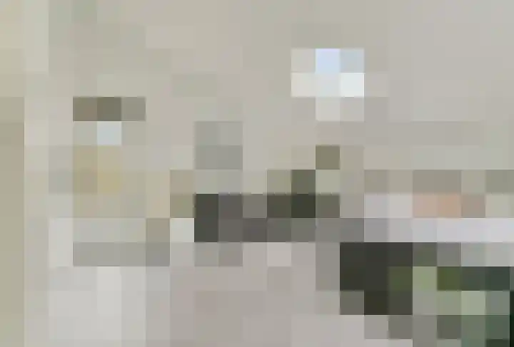 Digna Johannaweg 183 Hoogvliet Rotterdam thumbnail 13
