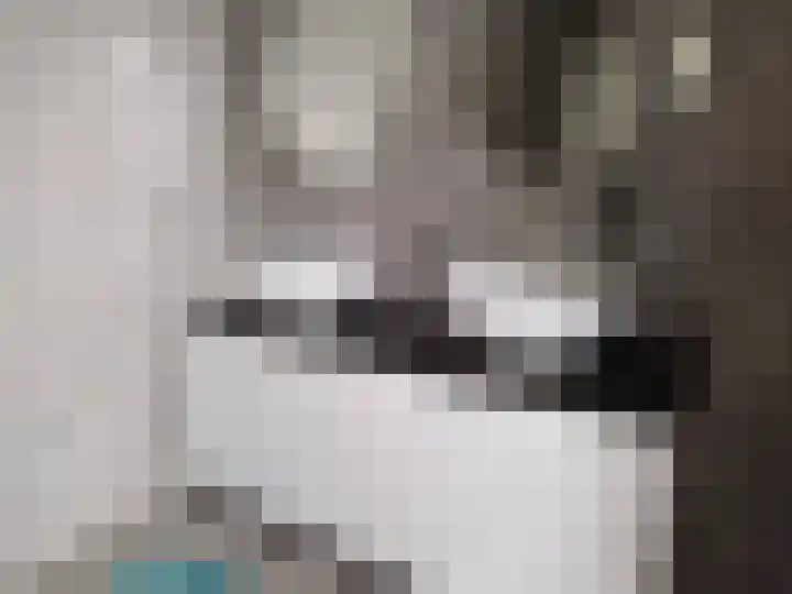 Digna Johannaweg 201 Hoogvliet Rotterdam thumbnail 20