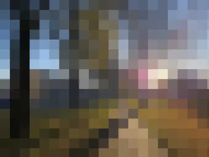 Digna Johannaweg 201 Hoogvliet Rotterdam thumbnail 25