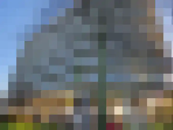 Digna Johannaweg 201 Hoogvliet Rotterdam thumbnail 27