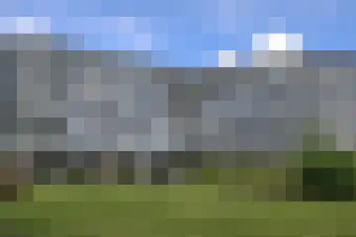 Digna Johannaweg 221 in Hoogvliet Rotterdam