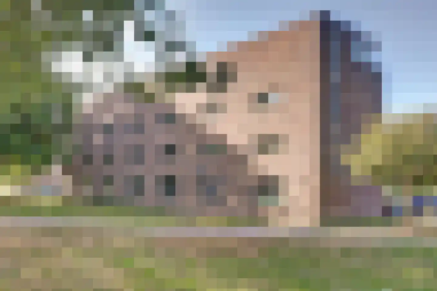 Digna Johannaweg 29 Hoogvliet Rotterdam thumbnail 20