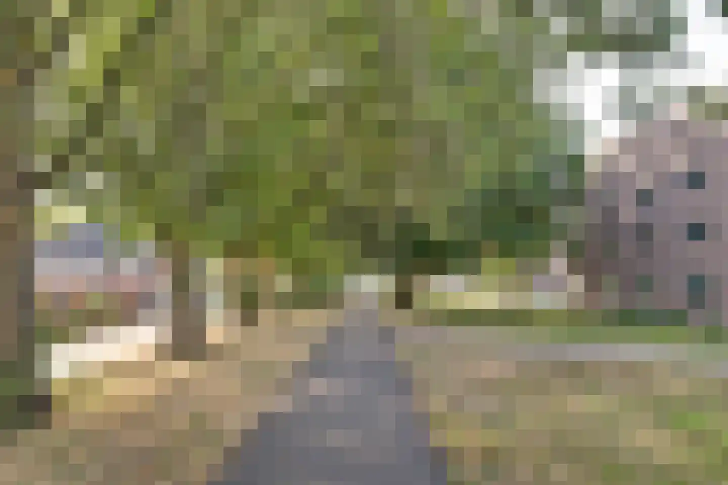 Digna Johannaweg 29 Hoogvliet Rotterdam thumbnail 22