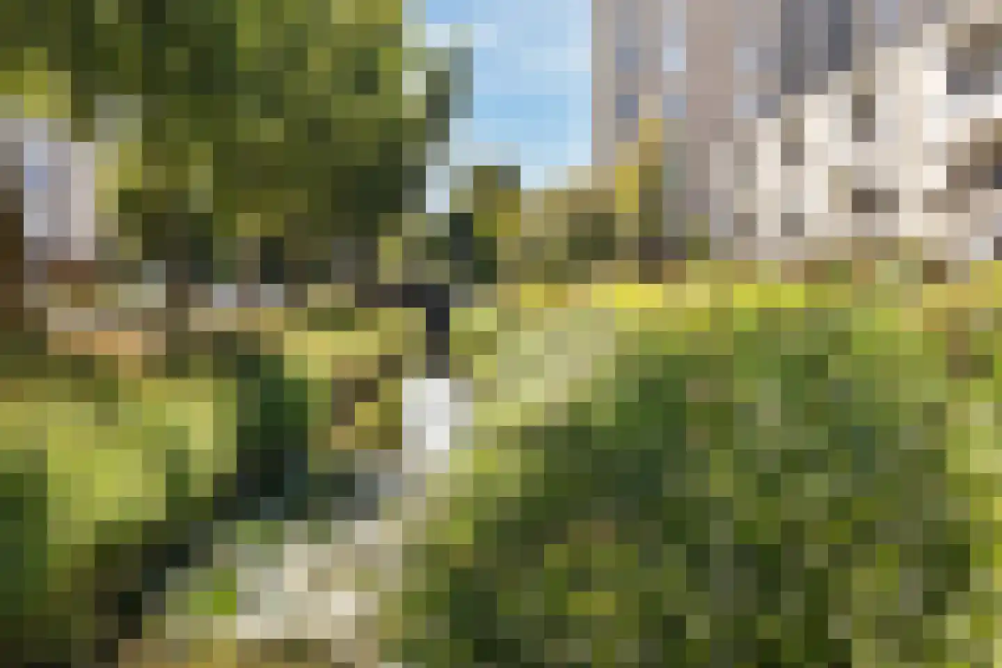 Dignahoeve 110 Amstelveen thumbnail 26