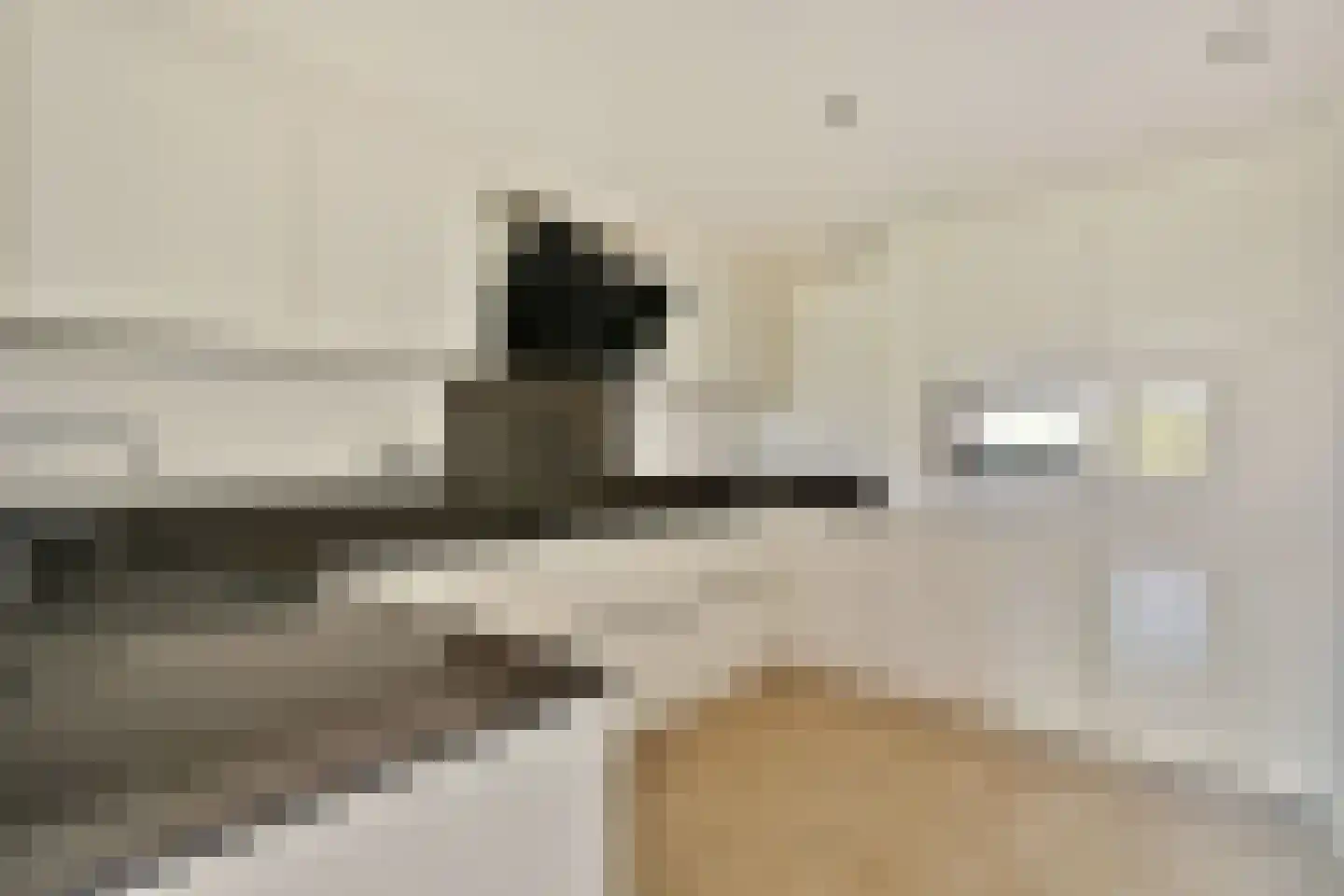 Dignahoeve 110 Amstelveen thumbnail 6