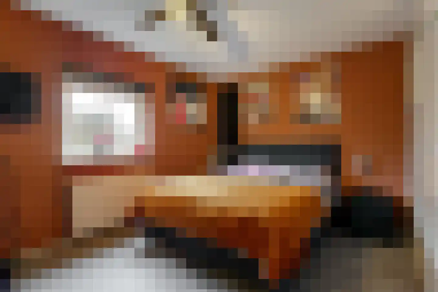 Dignahoeve 28 Amstelveen thumbnail 22