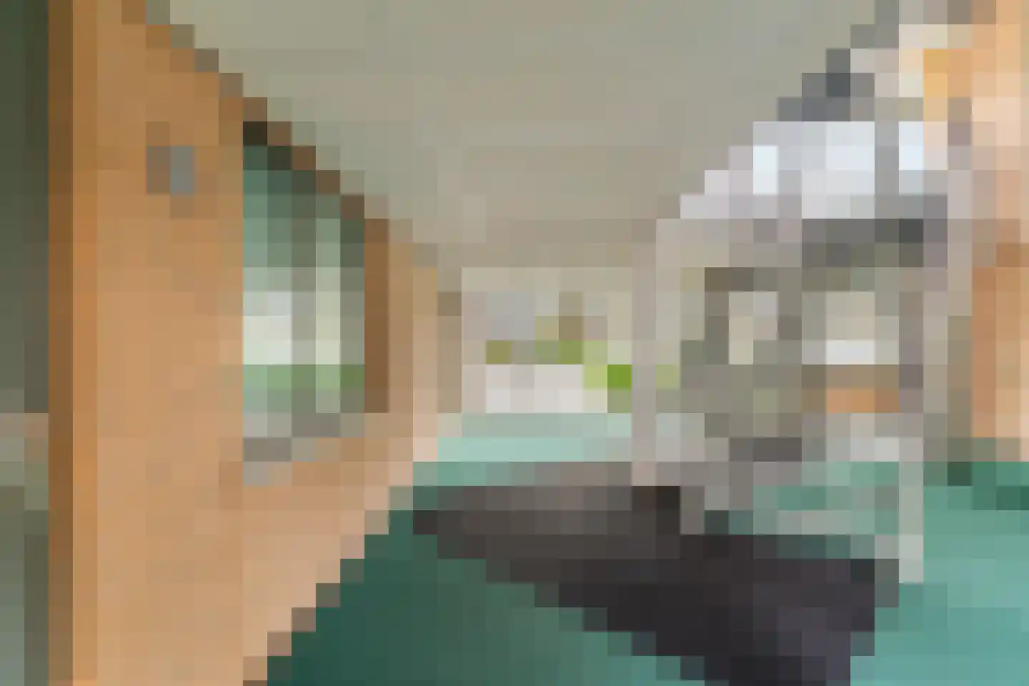 Dignahoeve 28 Amstelveen thumbnail 5