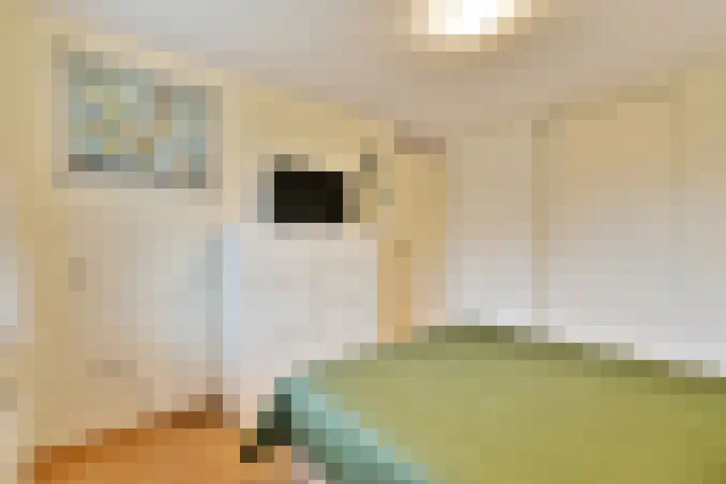 Dignahoeve 60 Amstelveen thumbnail 12