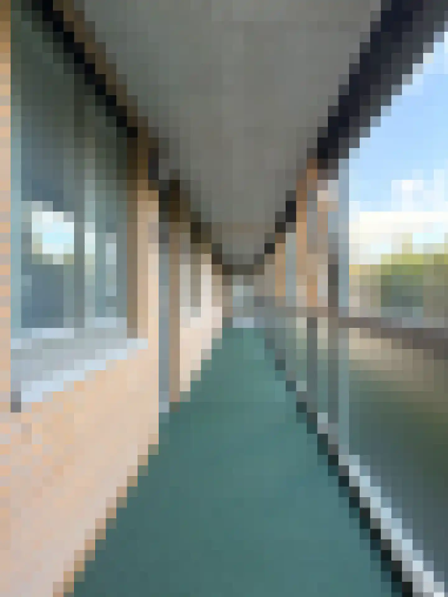 Dignahoeve 60 Amstelveen thumbnail 20
