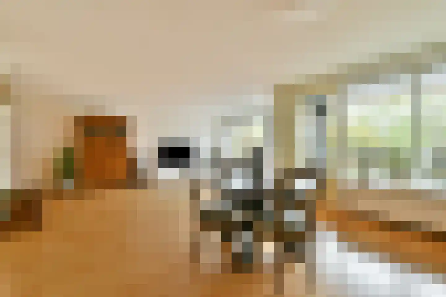 Dignahoeve 60 Amstelveen thumbnail 4