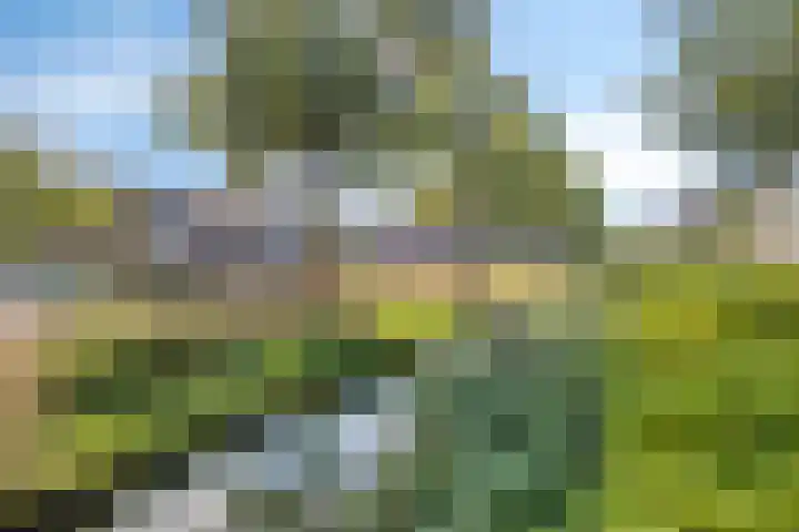 Dignahoeve 92 Amstelveen thumbnail 19