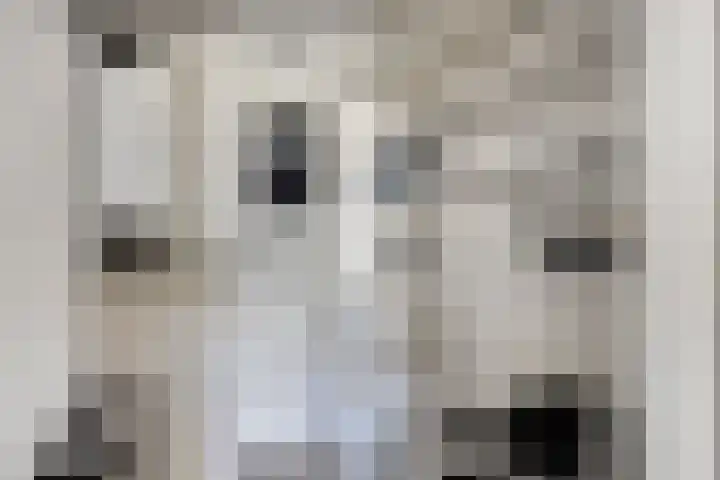 Dignahoeve 92 Amstelveen thumbnail 9