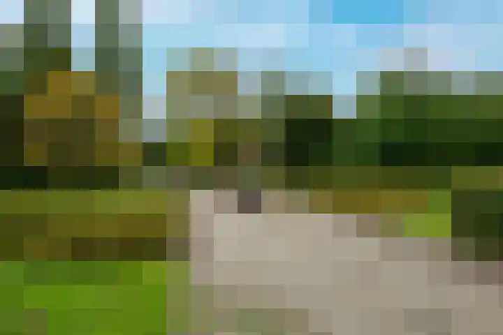 Dignaland 12 Den Haag thumbnail 22