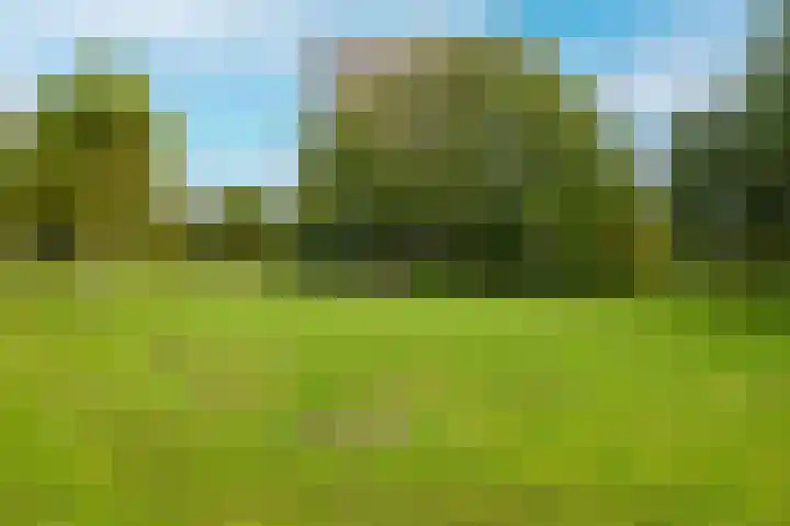 Dignaland 12 Den Haag thumbnail 23
