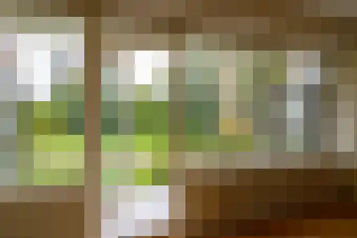 Dignaland 12 Den Haag thumbnail 4