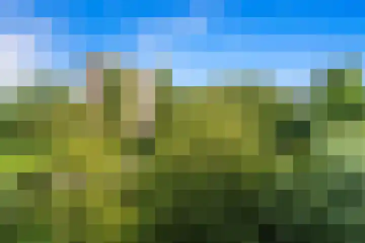 Dignaland 22 Den Haag thumbnail 16