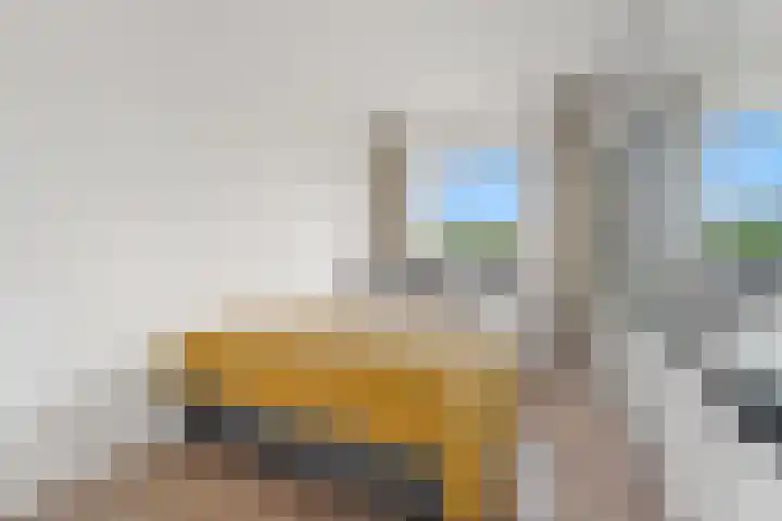 Dignaland 22 Den Haag thumbnail 23