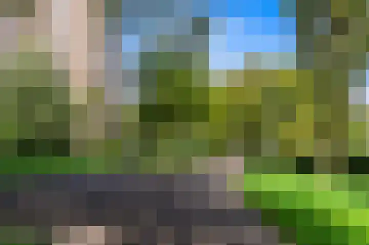 Dignaland 22 Den Haag thumbnail 31