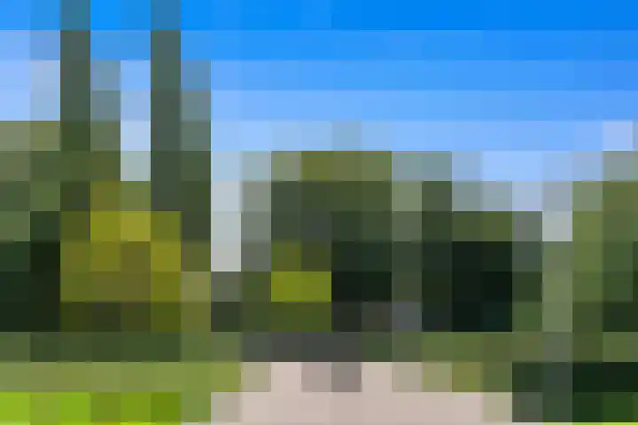 Dignaland 22 Den Haag thumbnail 33