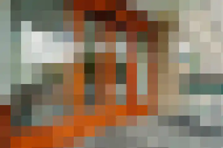 Dignaland 22 Den Haag thumbnail 7
