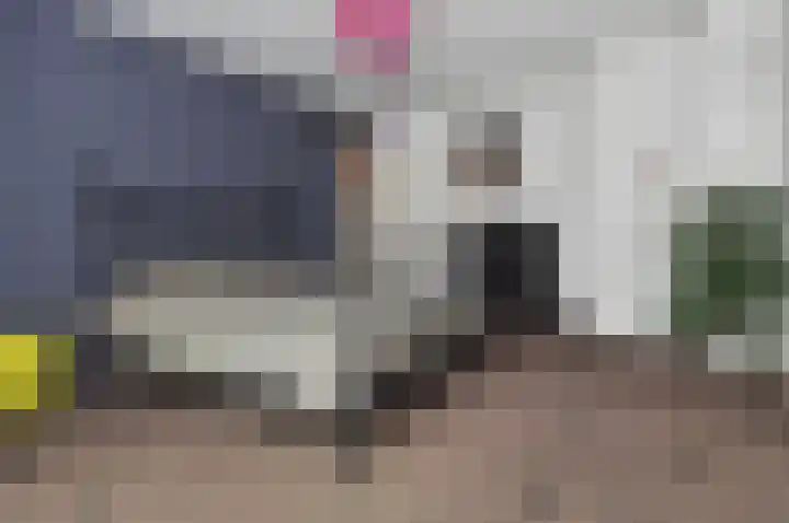 Dignaland 23 Den Haag thumbnail 12
