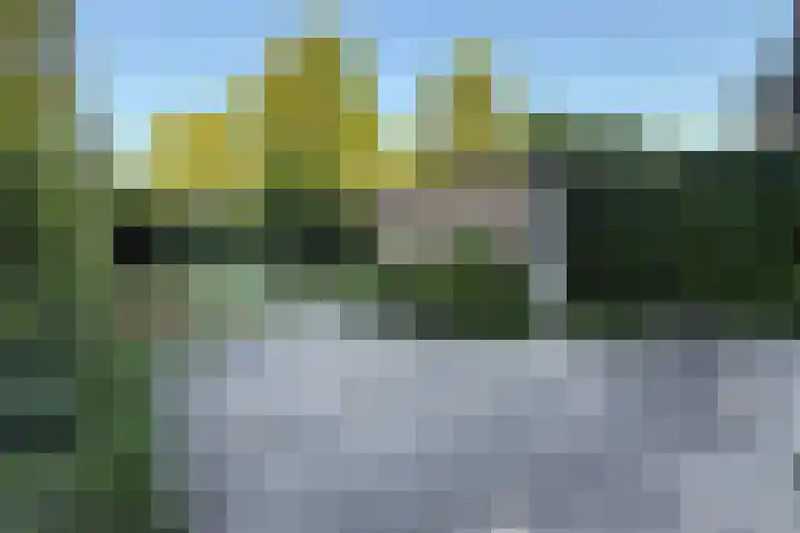 Dignaland 23 Den Haag thumbnail 23