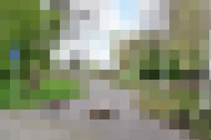 Dignaland 23 Den Haag thumbnail 24