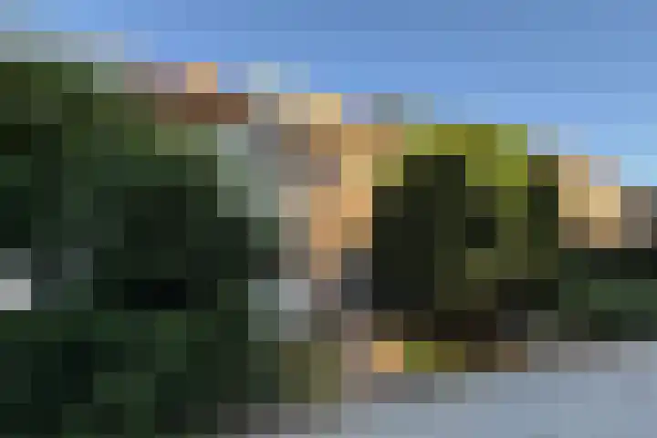 Dignaland 23 Den Haag thumbnail 31