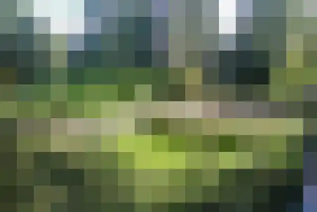 Dignaland 26 Den Haag thumbnail 15