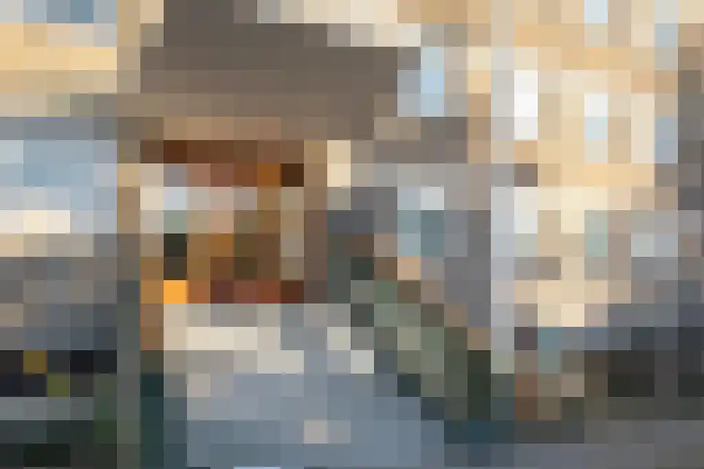 Dignaland 26 Den Haag thumbnail 5
