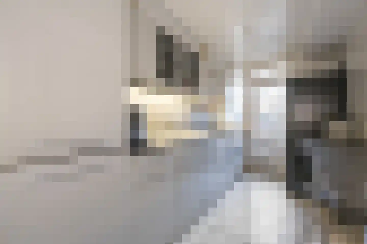 Dignaland 6 Den Haag thumbnail 10