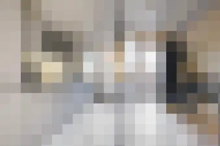 Dignaland 6 Den Haag thumbnail 11