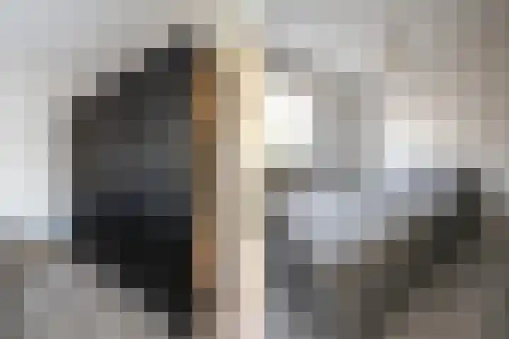 Dignaland 6 Den Haag thumbnail 14