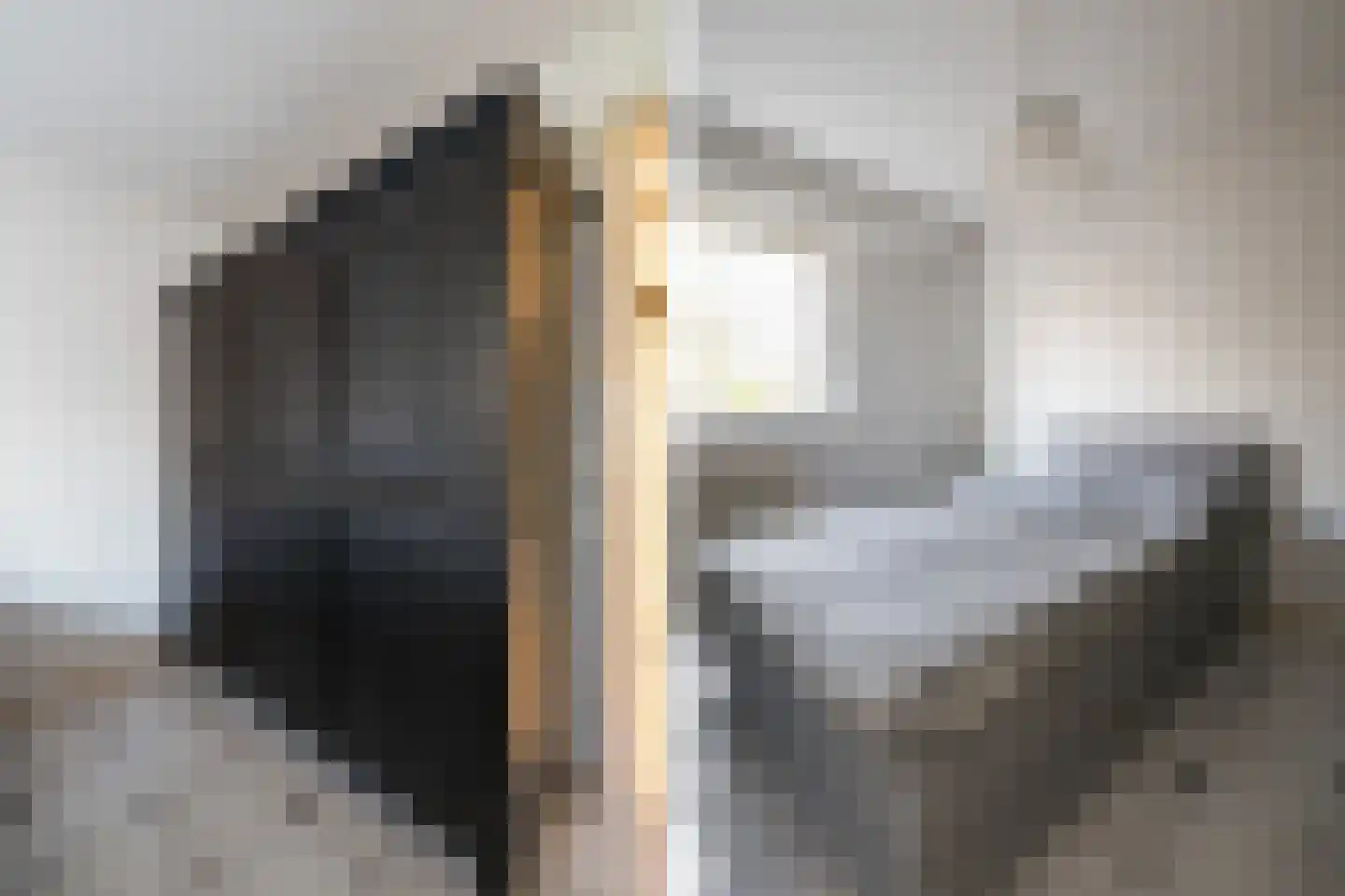 Dignaland 6 Den Haag thumbnail 14