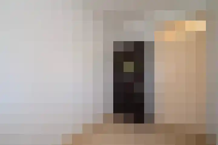Dignaland 6 Den Haag thumbnail 17