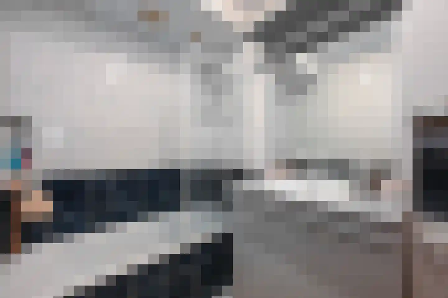 Dignaland 6 Den Haag thumbnail 18