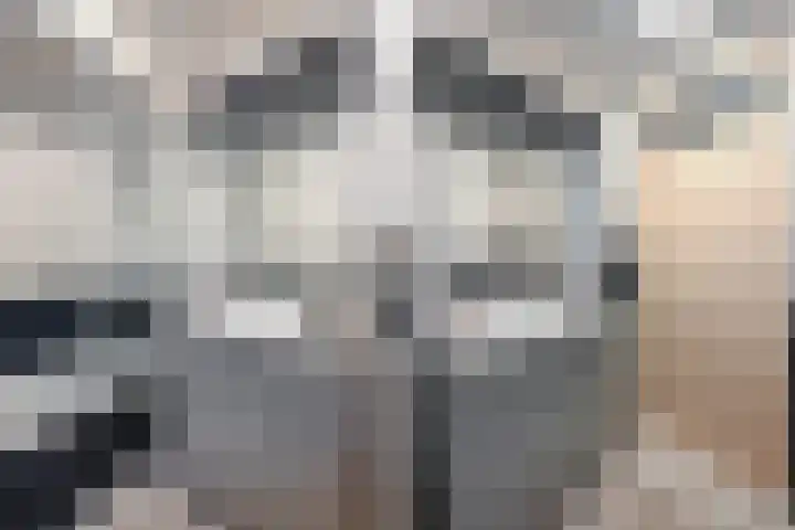 Dignaland 6 Den Haag thumbnail 19