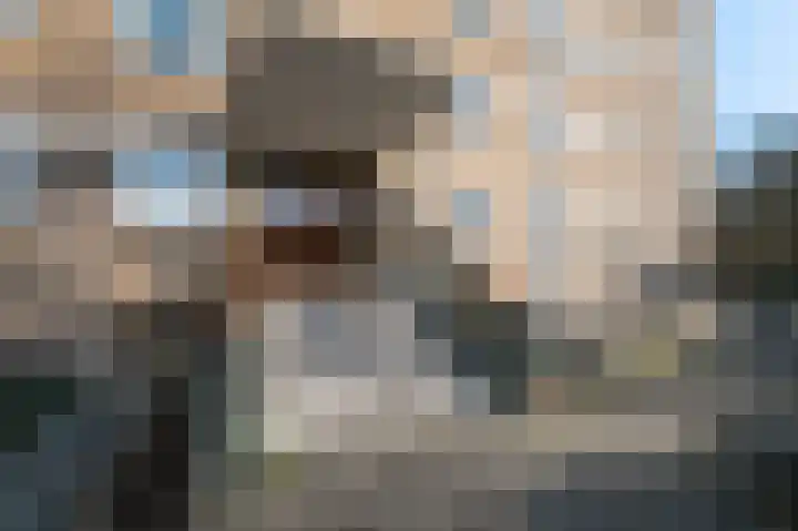 Dignaland 6 Den Haag foto 2