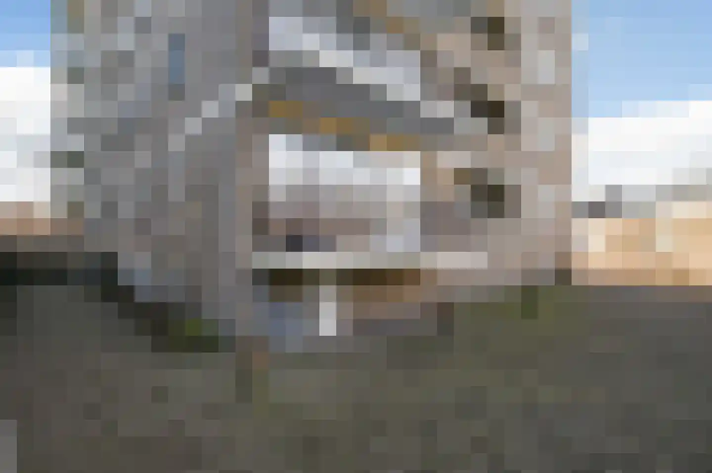 Dignaland 6 Den Haag thumbnail 23