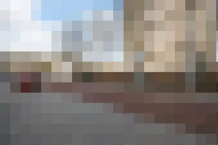 Dignaland 6 Den Haag thumbnail 24