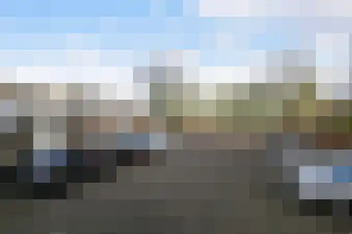 Dignaland 6 Den Haag thumbnail 25